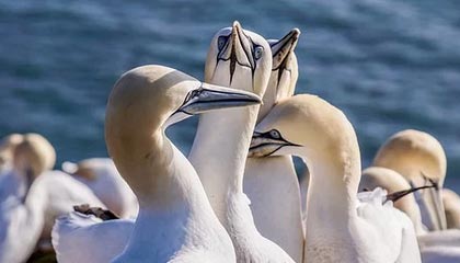 美股遭重挫！六巨头一夜蒸发3.2万亿